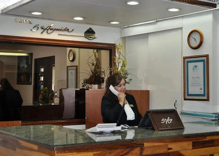 Hotel 5A Avenida Monterrey